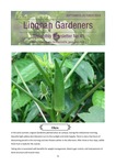 Lingnan Gardeners Bimonthly Newsletter (No. 45) = 嶺南彩園通訊 (第45期) by Lingnan Gardeners, Kwan Fong Cultural Research and Development Programme, Lingnan University