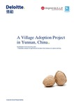 A village adoption project in Yunnan, China : sustainable micro-economy pilot : feasibility analysis of agricultural transition from tobacco to walnut planting