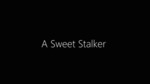 浪漫跟蹤 = Sweet stalker by Cheuk Chi AU (歐卓志) and Yung Ki CHEUNG (張榕棋)
